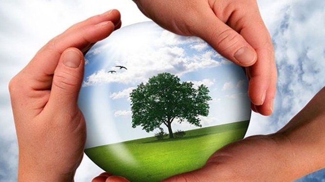 مسئولیت اجتماعی و لزوم حفظ محیط زیست