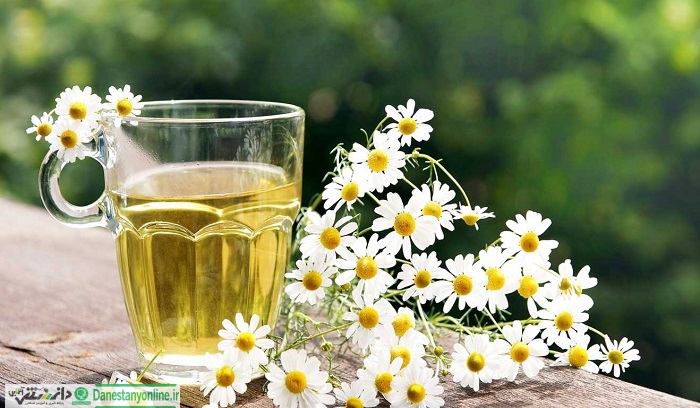 هفت ویژگی شگفت انگیز بابونه