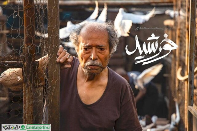 جشنواره فیلم فجر