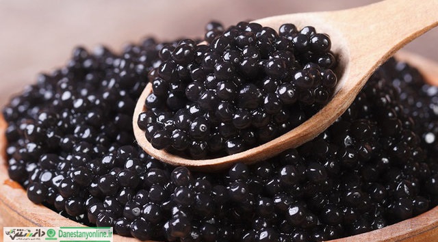 غذاهای خوشمزه ای