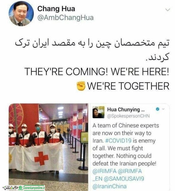 متخصصان چینی