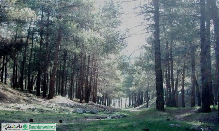 ۵ بوستان بزرگ شمال شرق تهران تعطیل شد