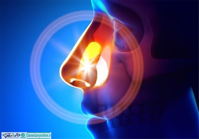 تاثیر کرونا بر حس بویایی و چشایی