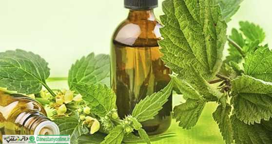 تولید شربت گیاهی ضدویروس توسط محققان ایرانی