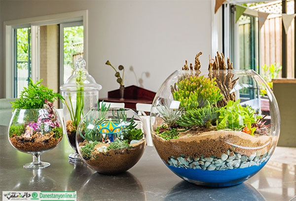 چگونه یک باغ زیبای شیشه ای در خانه داشته باشیم