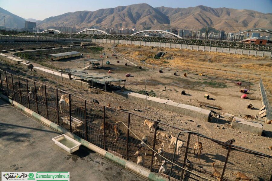 دهکده مهربانی