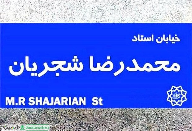 نظر مردم در خصوص نامگذاری خیابان استاد شجریان چیست/ فیلم