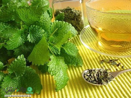 معرفی چند خوراکی ساده برای تقویت حافظه