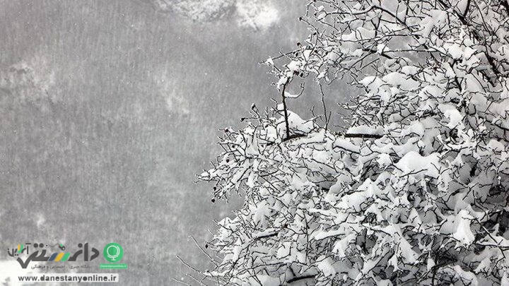 وضعیت آب و هوا در روز ۲۲ بهمن و تعطیلات آخر هفته