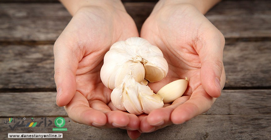 مصرف سیر برای چه افرادی مضر است؟