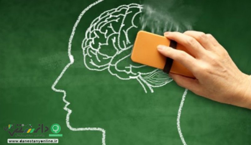 سبک زندگی سالم از بروز آلزایمر جلوگیری میکند