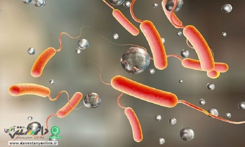 بروز وبا و وجود انگل در آب اهواز؛ شایعه یا واقعیت!