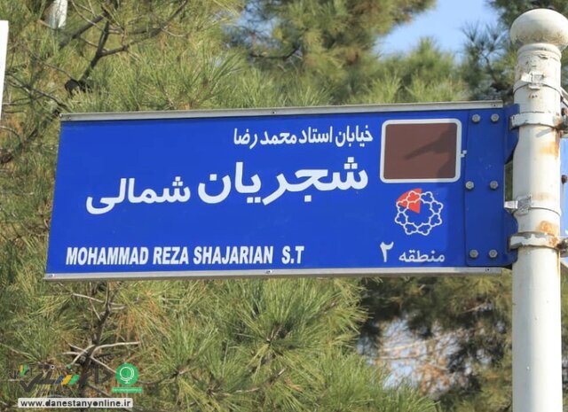 کوچههایی با رنگ و بوی هنر