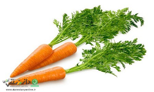 فواید شگفت انگیز برگ هویج برای سلامتی
