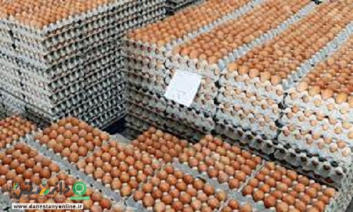 کشتار گسترده مرغها؛ دلیل افزایش قیمت تخم مرغ