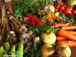 غذای ارگانیک