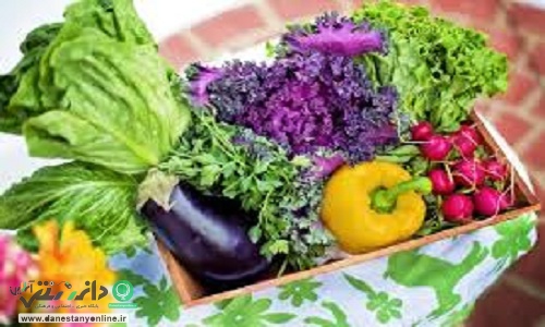 تقویت عملکرد شناختی کودکان با رژیم ارگانیک