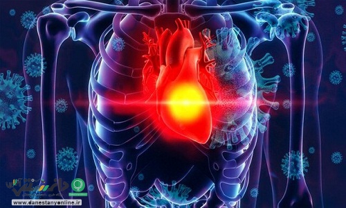 دارویی برای جلوگیری از آسیب قلبی ناشی از کرونا تولید شد