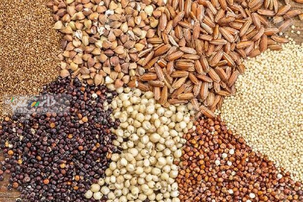 دلایل گرانی نهادههای دامی چیست؟