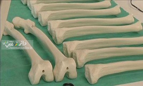 پژوهشگران اصفهانی به فناوری استخوان مصنوعی دست یافتند