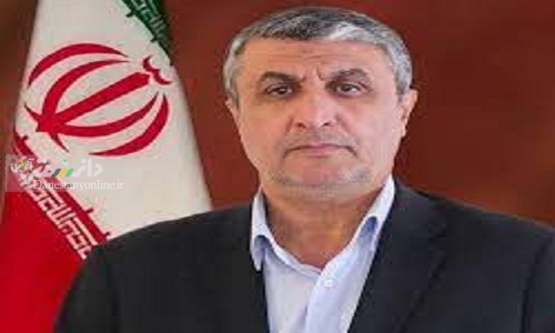 رییس سازمان انرژی اتمی وارد وین شد
