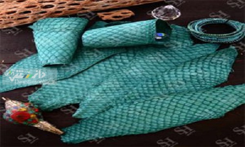 تولید چرم از پوست ماهی