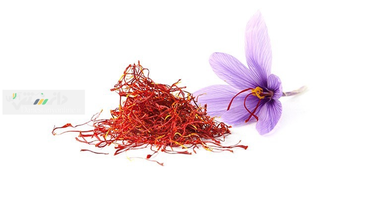 صادرات زعفران به چین ۶۰۰ درصد رشد داشته است