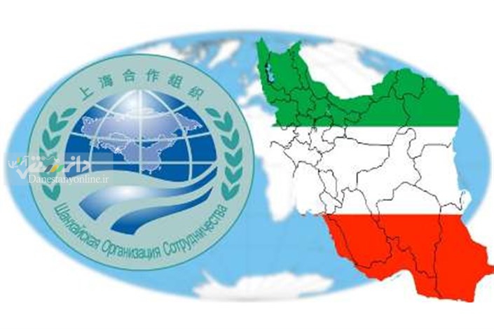 سازمان شانگهای