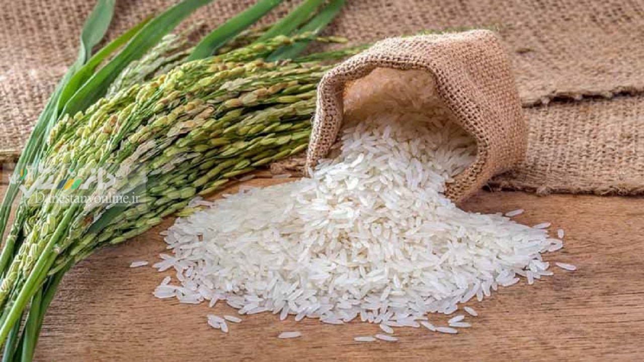 ممنوعیت فصلی واردات برنج لغو شد