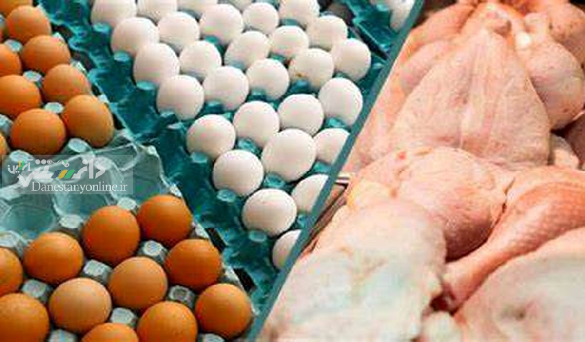 ۳ اقدام دولت برای ایجاد آرامش در بازار مرغ و تخممرغ