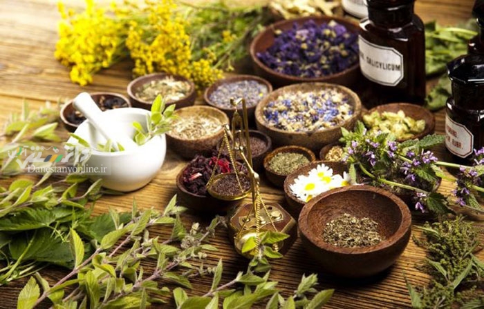 دانستنی سلامت/ با این پنج گیاه دارویی هورمونها را تنظیم کنید