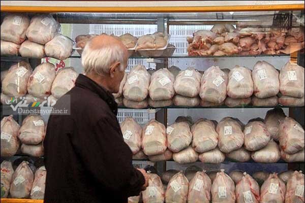 آغاز توزیع اینترنتی مرغ منجمد و تخم مرغ با قیمت مصوب