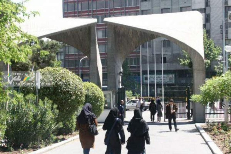 دانشگاه