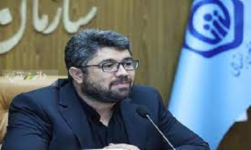 موسوی: طرح بیمه خانواده ایرانی در کشور اجرا میشود