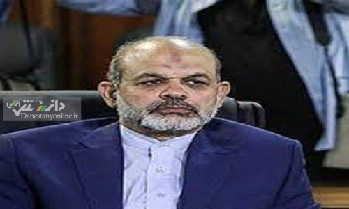 توضیحات وزیر کشور از تصاویر برخورد فراجا با یک خانم