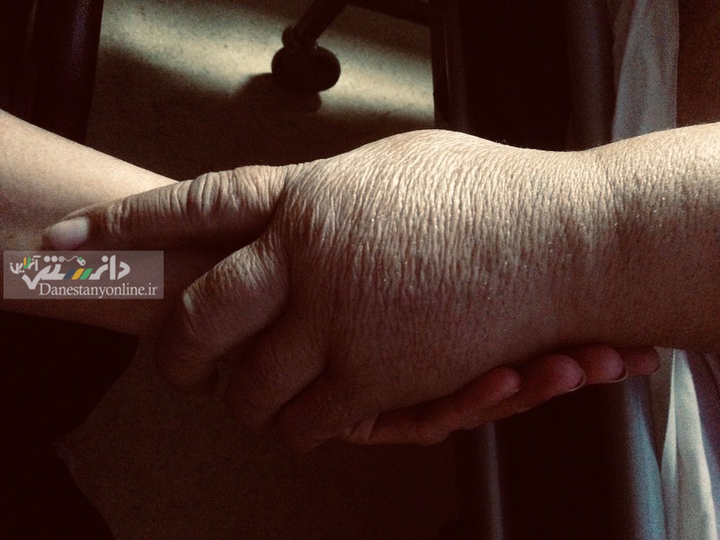 سریال پایتخت