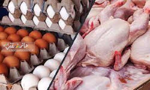 کاهش قیمت مرغ و تخم مرغ