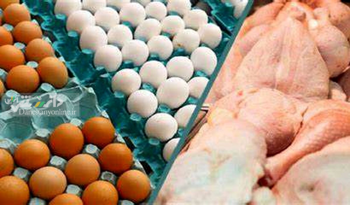 مرغ-تخم-مرغ