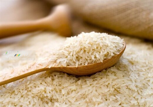 قصه بی پایان گرانی برنج/ علت چیست؟