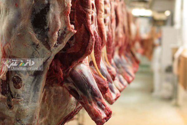 مصوبه عرضه مستقیم گوشت گرم بر روی کاغذ ماند