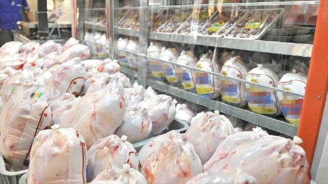 ذخیره ۱۷۰۰۰ تن «مرغ» منجمد در پایتخت