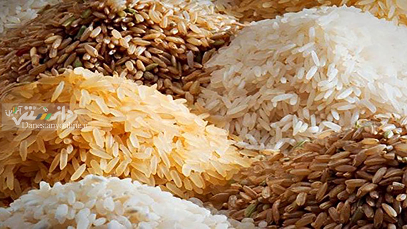 گرانی برنج؛ این رشته سر دراز دارد !