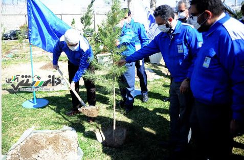 کاشت ۶۰۰ اصله نهال در شرکت ایران خودرو