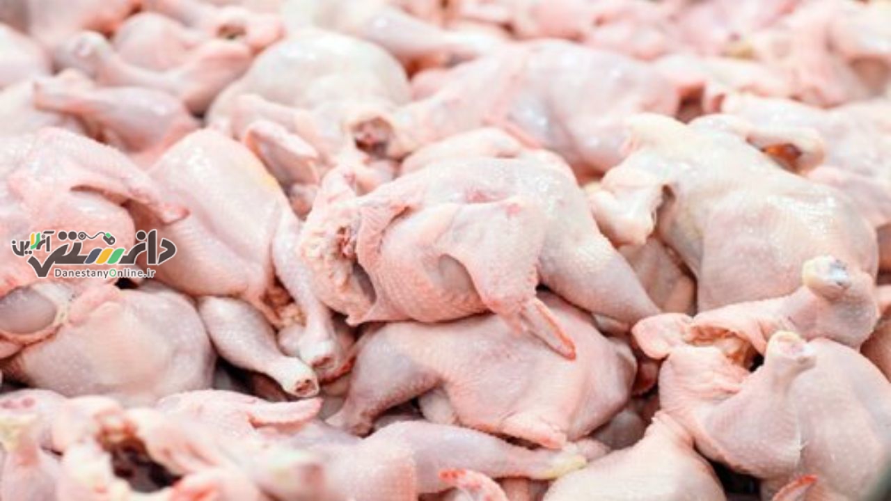 ۳ پیشنهاد برای اصلاح سیاست ارز ترجیحی از نمایندگان تولیدکنندگان مرغ