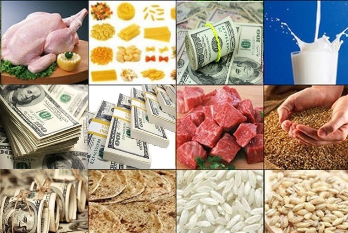 حذف ارز ۴۲۰۰ تومانی یک جراحی بزرگ در اقتصاد کشور است