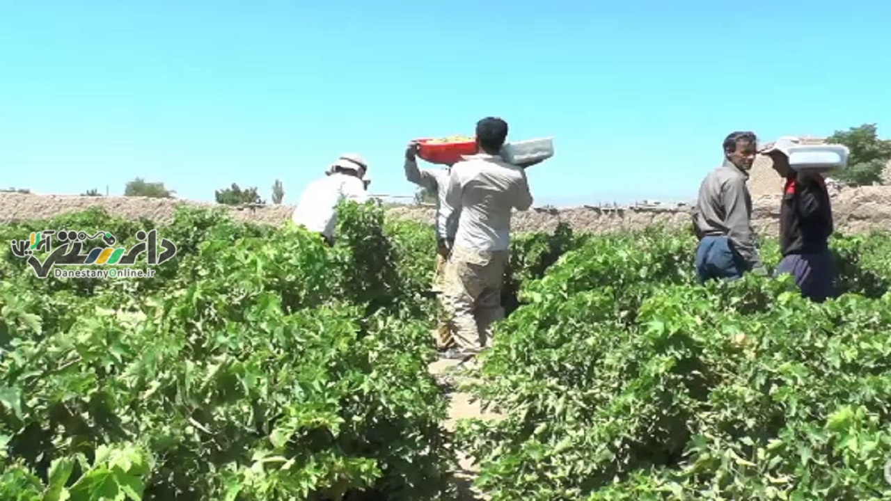گزارش پایداری شهرستان خلیل آباد
