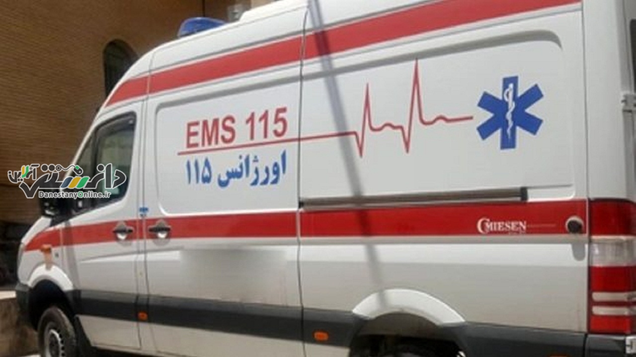 نجات جان مادر دوقلو در پلدختر