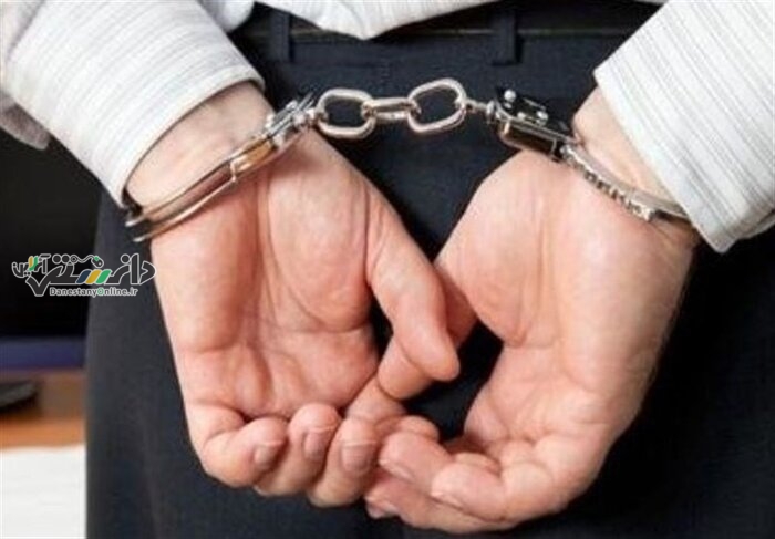 همسر کشی یک افغانی دربوشهر