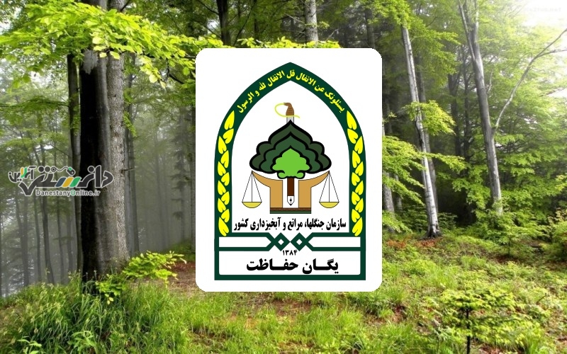قتل جانشین یگان حفاظت منابع طبیعی چناران/ضارب دستگیرشد