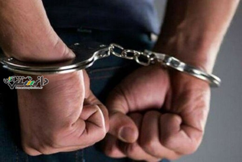 دزد دزدها دستگیر شدند